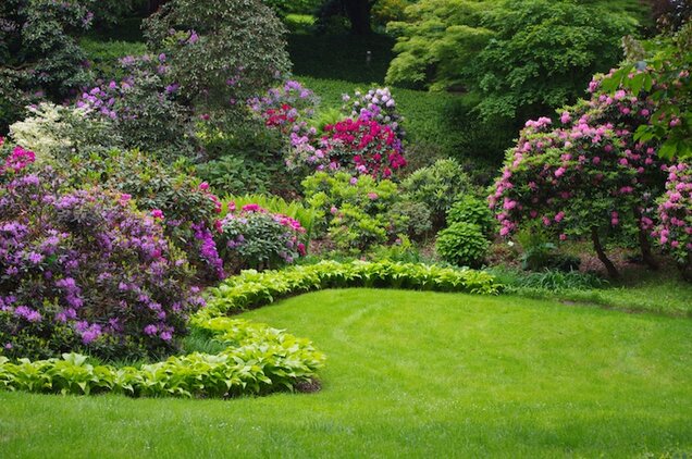 Fotolia_23140456bnorbert3